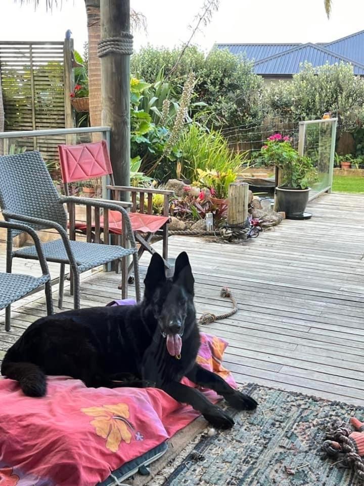 U Beauty - B & B Whangarei Zewnętrze zdjęcie